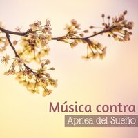 Salvame Calma Y Pensamiento - Relajar Dormir Meditar