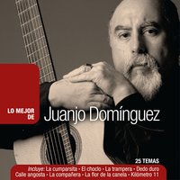 Gato para Juanjo - Juanjo Domínguez