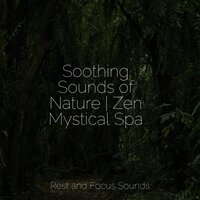Farmside Wonders - Music For Absolute Sleep & Lullaby Babies & Deep Sleep Relaxation