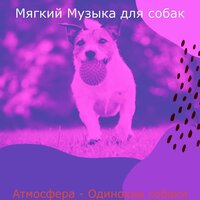 Чувство (Щенки) - Мягкий Музыка для собак