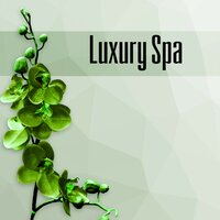 Harmony In You - Beautiful Spa Collection