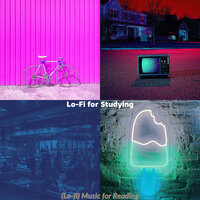 Marvellous Lofi Chill-hop - Vibe for Sleep - Lo-Fi for Studying