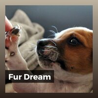 Calming Music for Stressed Dogs, Pt. 4 - Sleeping Music For Dogs