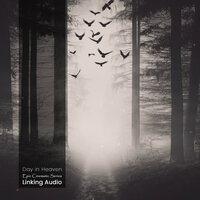 Reflection of Power - Linking Audio