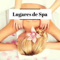 Paz Interior - Scents of Spa