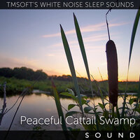 Peaceful Cattail Swamp Nature Sounds - Tmsoft's White Noise Sleep Sounds