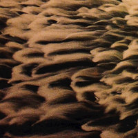 Descend - Tashi Dorji