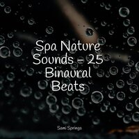 Rain Dripping from the Roof - Forest Soundscapes & Ruído branco & Sound of Rain