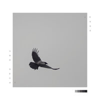 Vogel III - Jesse