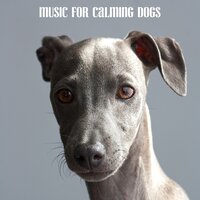 Less Is More - Music for Calming Dogs & Music for Leaving Dogs Home Alone & Sleepy Dogs