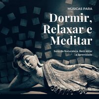Som de Passaros - Relaxanna