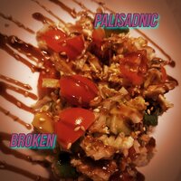 Broken - Palisadnic