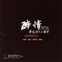 神奇的九寨 - 张毅 & 肖晨光