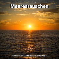 Sinnieren bei den Felsen - Meeresrauschen zum Schlafen Manuel Thomerz & Naturgeräusche & Meeresrauschen