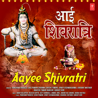 Dulha Bankar Bhole - Vinay Vishwakarma & Rajesh Gupta