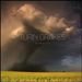 Paper Heart - Turin Brakes