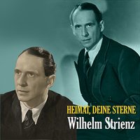 Gute Nacht Mutter! - Wilhelm Strienz