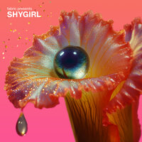 Club Shy (Intro) - Angelita & Shygirl