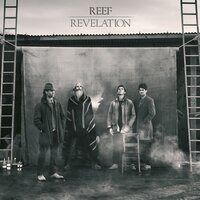 Provide - Reef