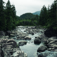 Springtime Introspection - Asian Zen Spa Music Meditation & Epic Soundscapes & Relaxing Guru