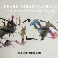 Flute Sonata in E Minor, BWV 1034: III. Andante - Roberto Fabbriciani & Robert Köhnen & Carlo Denti & Johann Sebastian Bach