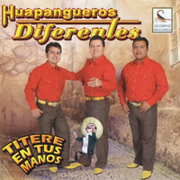 Mi Vida Eres Tu - Huapangueros Diferentes