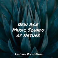 Entering Calmness - The Sleep Specialist & Schlaflieder Für Kinder & Chillout Lounge