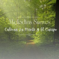 Sinfonía Del Descanso - David Melodías Relajantes