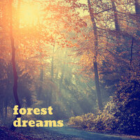 Phloem - Forest Dreams