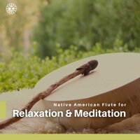 Vision Quest (Sea Waves) - Relax Shaman Music