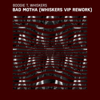 Bad Motha - Boogie T & Whiskers