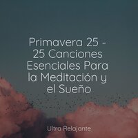 Campo De Flores - Música De Relajación Para Dormir Profundamente & Lluvia & Meditação Zen