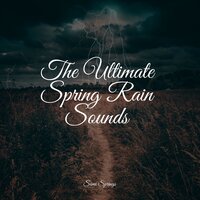 Rainflows - Best Kids Songs & Ambient Nature Project & Tranquil Music Sounds of Nature