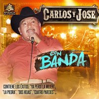 Dos Hojas Sin Rumbo - Carlos Y Jose