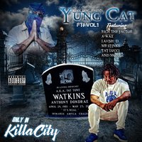 Kater Kick - Yung Cat & Mr Stinky & Mess Maker