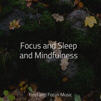 Hush Baby - Studying Music & Trouble Sleeping Music Universe & Música de la Naturaleza