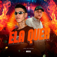 Ela Quer - Mc Fahah & Lino