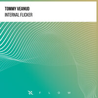 Internal Flicker - Tommy Veanud