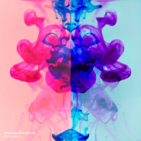 Birdy - Sylvain Gourlay
