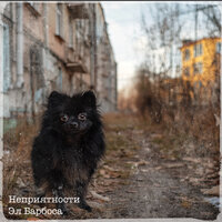 Неприятности - Эл Барбоса