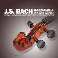Sonata No. 2 in A Minor for Solo Violin, BWV 1003: III. Andante - Susanne Lautenbacher & Johann Sebastian Bach