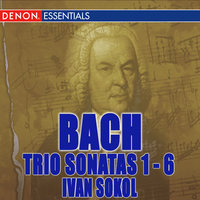 Trio Sonata No. 6 in G Major, BWV 530: III. Allegro - Ivan Sokol & Johann Sebastian Bach