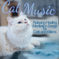 Reflections - Cat Music Dreams & Cat Music Zone & RelaxMyCat