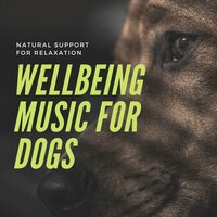 Sleep Sounds, White Noise, Relaxing Music - Pet Music World