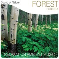 Azzurro riflesso - Sound of Nature Band