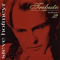 You've Lost that Loving Feeling - Steve Hofmeyr