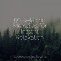 Bath Music - Music For Absolute Sleep & Meditation Awareness & Preschool Kids
