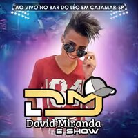 Novinha Vai no Chão - David Miranda