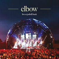 the birds - elbow