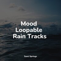 Umbrella Rain - Nature Sounds & Unforgettable Paradise SPA Music Academy & Sleep Sounds